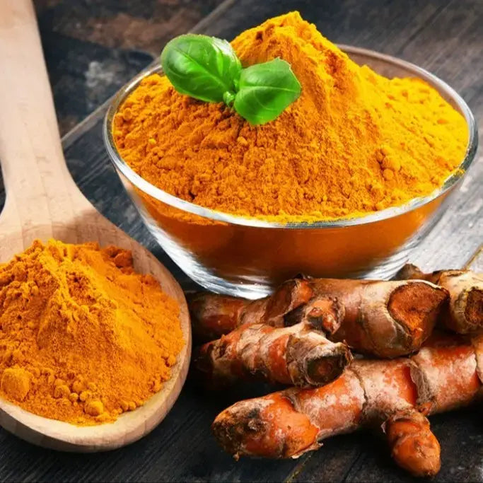 Kasturi Manjal/ Wild Turmeric Powder 100gm Pack