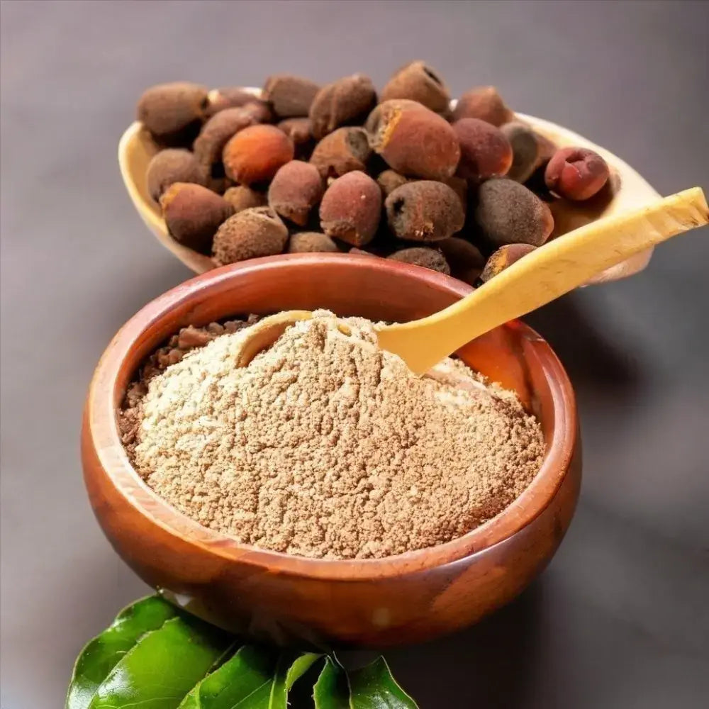 Reetha (Aritha, Soap Nut) Powder for Hair Care - 100gms – Reen Naturals